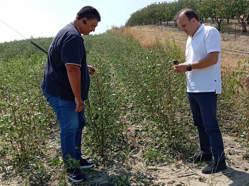 Στους πληγέντες παραγωγούς ο Δήμος Λαρισαίων - Αίτημα προς τον ΕΛΓΑ για καταγραφή ζημιών σε Ελευθερές, Τερψιθέα, Κοιλάδα και Λουτρό