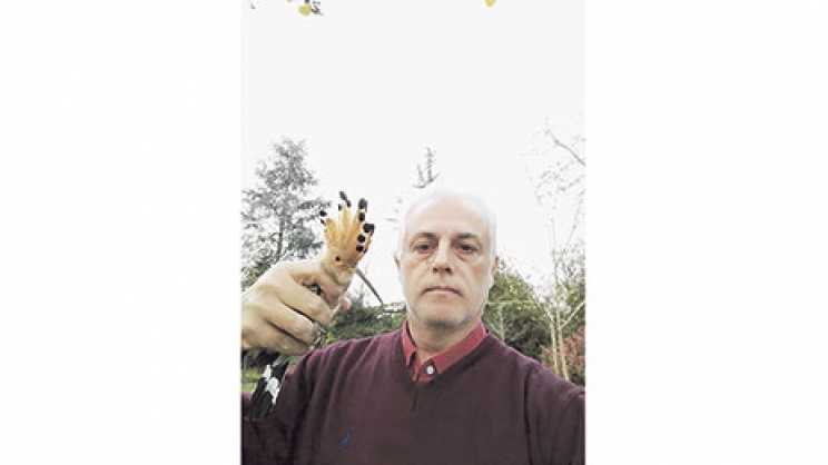 Νοσοκομείο... φτερωτών στη Λάρισα