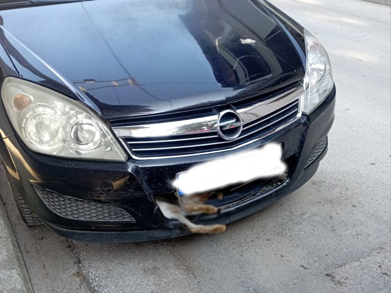 Τύρναβος: Τράκαρε με λαγό, πάρκαρε και έφυγε χωρίς να καταλάβει ότι… κουβαλούσε λαγό για στιφάδο